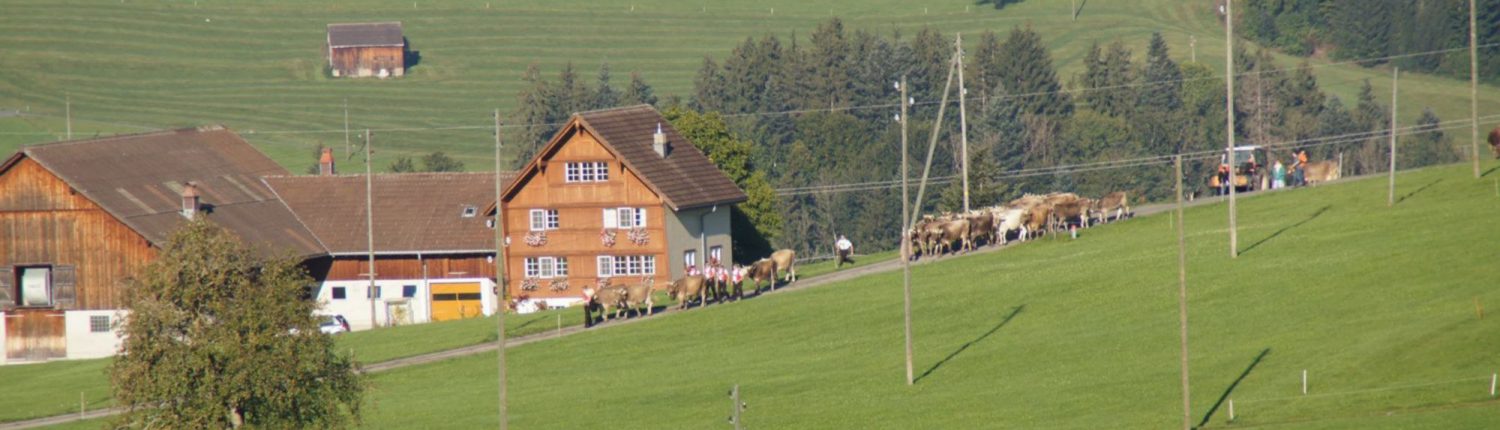 antoniabrown Appenzell Tailor-made